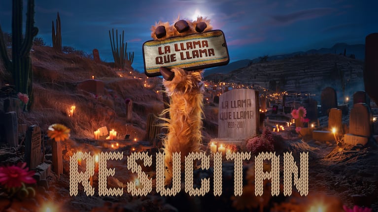 La Llama que llama está de regreso.