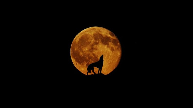 La Luna llena de Lobo, el primer fenómeno astronómico de 2024.
