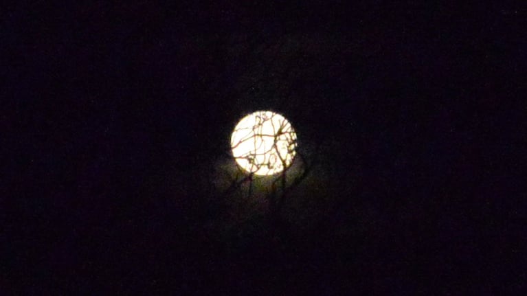 La Luna posó junto a Saturno