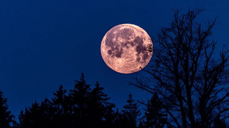 La Luna Rosa genera expectativas en todo el planeta.