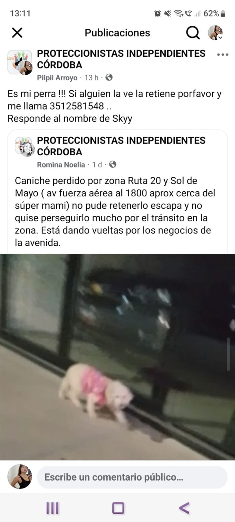 La madre de la dueña de la perra compartió la publicación de Proteccionistas Independientes Córdoba. (Foto: Facebook)