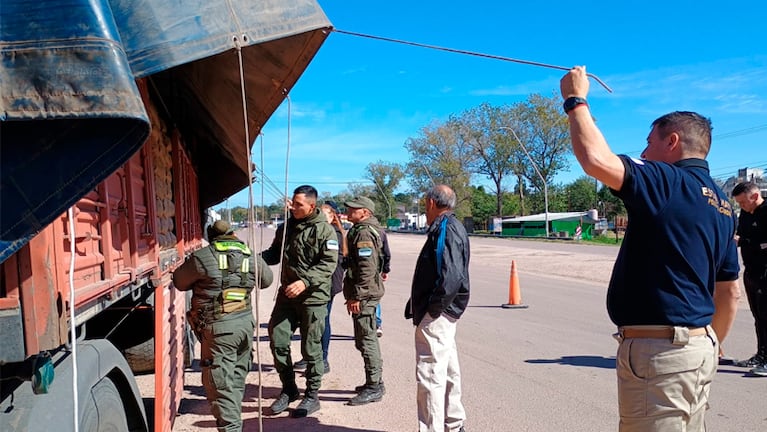 La mayoría de los inmigrantes viajaban en el acoplado de un camión.