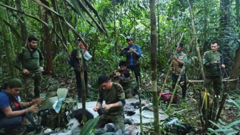 La medida extrema para hallar a Wilson, el perro que salvó a cuatro niños en la selva