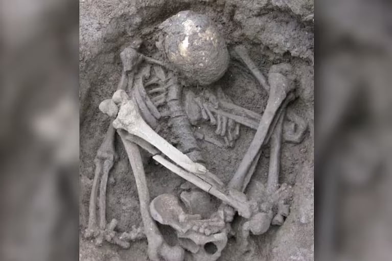 La momia más antigua data de 12 millones de años. Imagen: Associated Press.