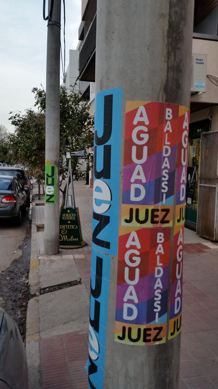 La Mona, ¿candidato a intendente?