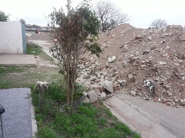 La montaña de tierra bloquea el frente de la casa del vecino.