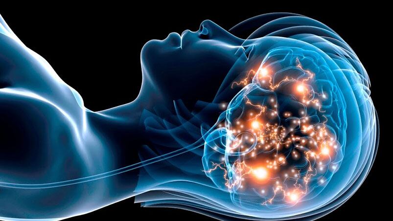 La muerte cerebral podría dejar de ser irreversible.