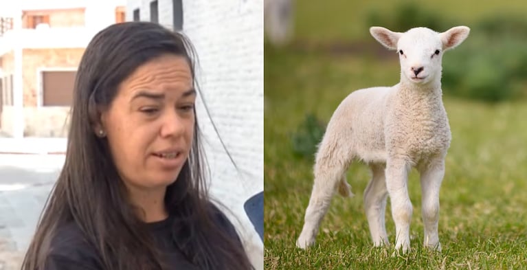 La mujer compró un cabrito en redes pero recibió algo completamente diferente.