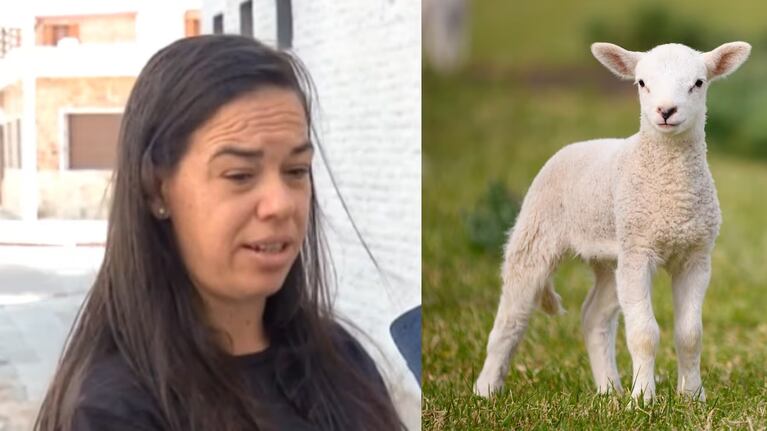 La mujer compró un cabrito en redes pero recibió algo completamente diferente.