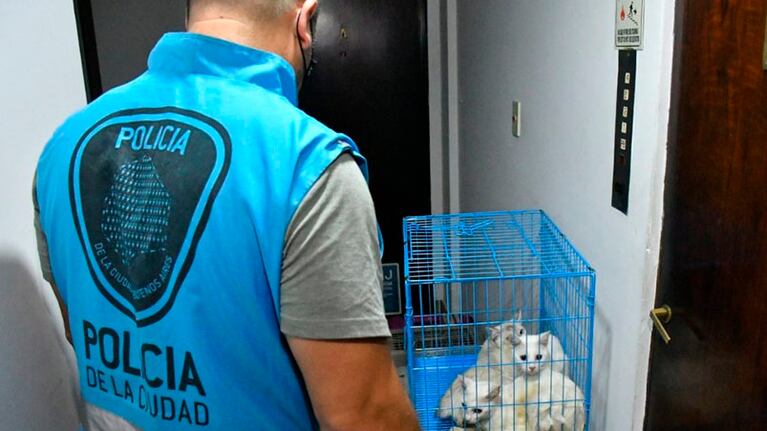 La mujer no estaba en el departamento y por ahora se encuentra libre.