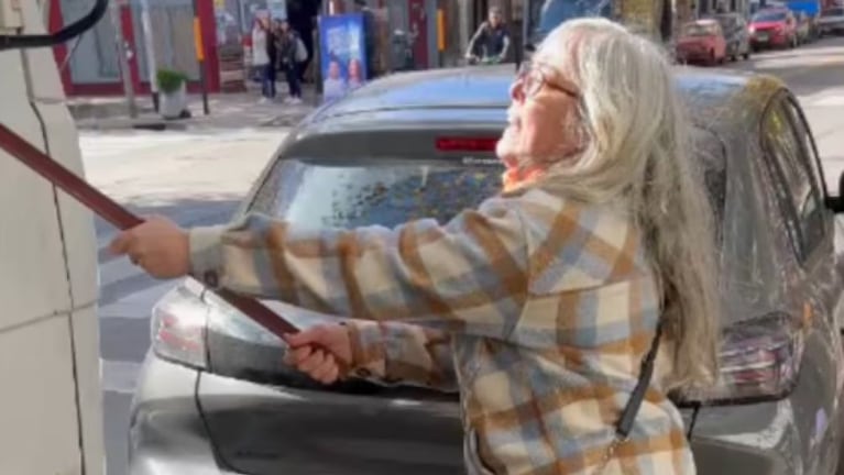 La mujer que atacó a palazos a un camión reveló los motivos de su reacción, pero el camionero la desmintió 