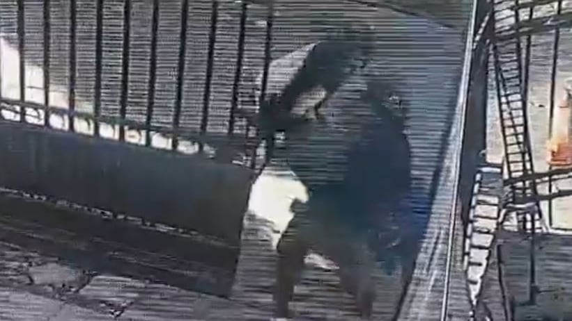 La mujer resistió al ataque de ladrones cuando entraba a su casa en Parque Liceo.