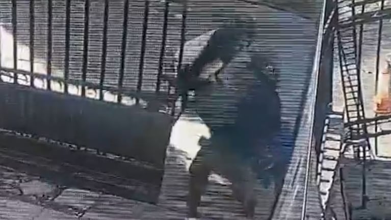 La mujer resistió al ataque de ladrones cuando entraba a su casa en Parque Liceo.