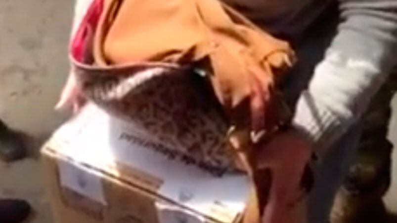 La mujer salió con la urna y la cartera en sus manos y cuando regresó se armó.