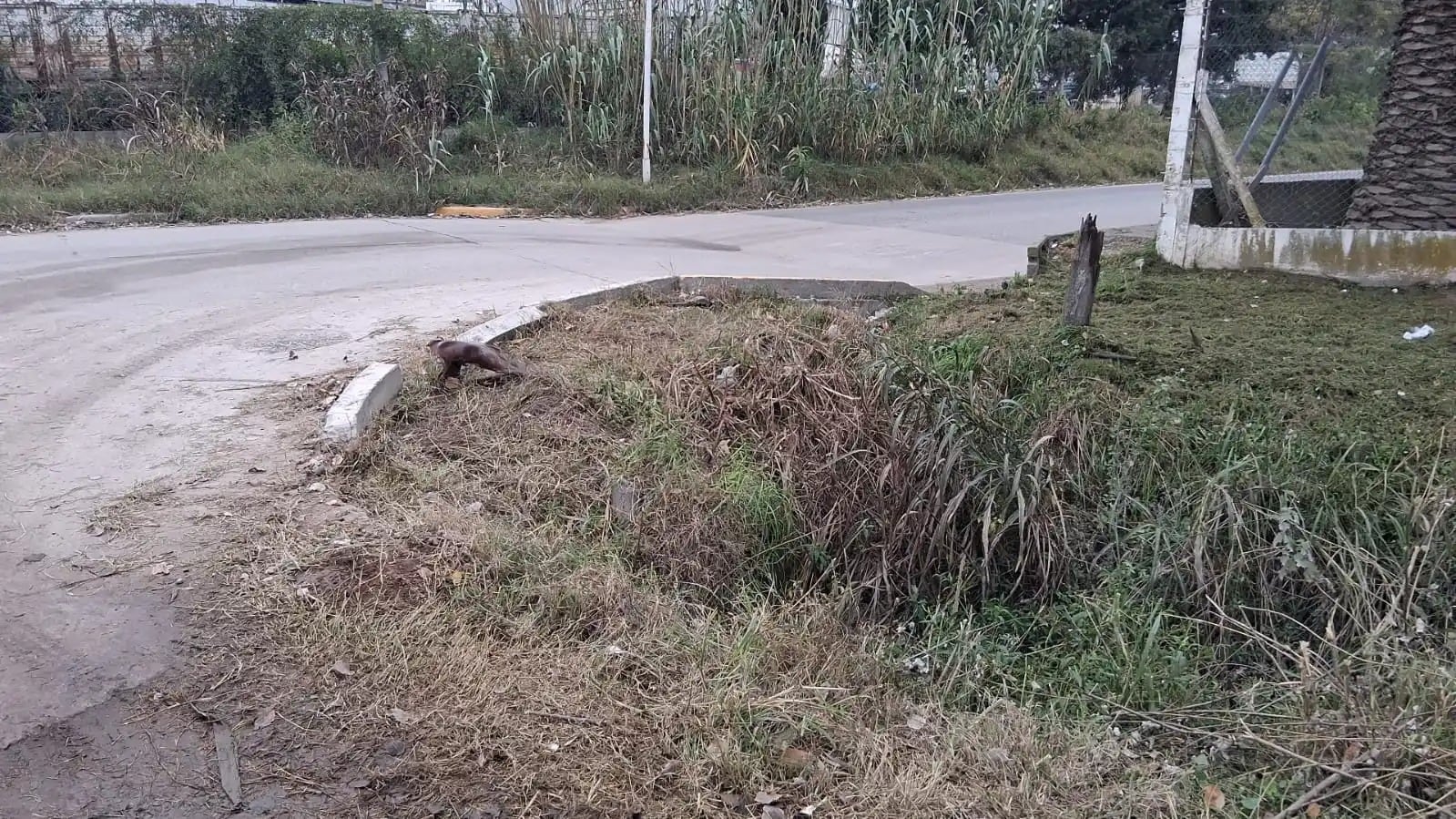 La mujer se descompensó y cayó a una zanja en Villa Nueva.