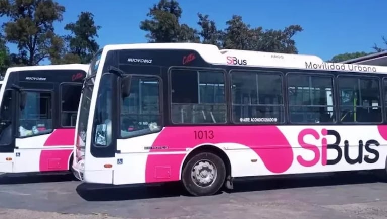 La Municipalidad confirmó cambios en líneas de colectivo en Córdoba.
