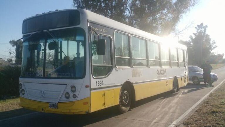 La Municipalidad estudia instalar cámaras en los colectivos