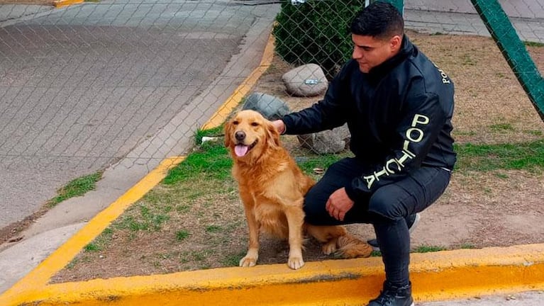 La nena con epilepsia recuperó a la perra que le robaron: el video del reencuentro