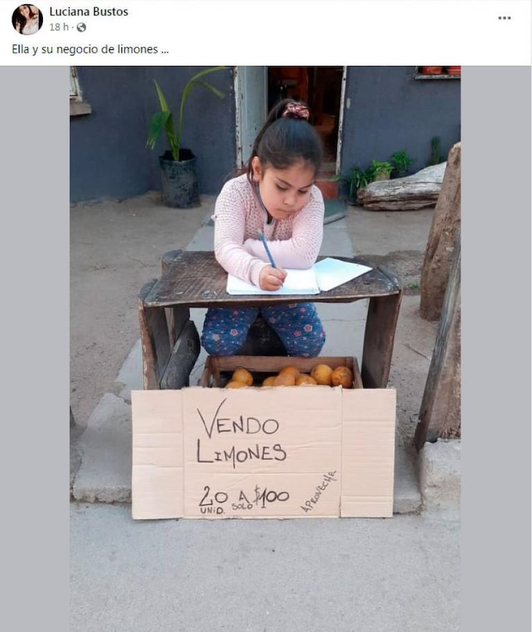 La nena cordobesa de 7 años que vende limones para ayudar a su mamá: la emotiva historia