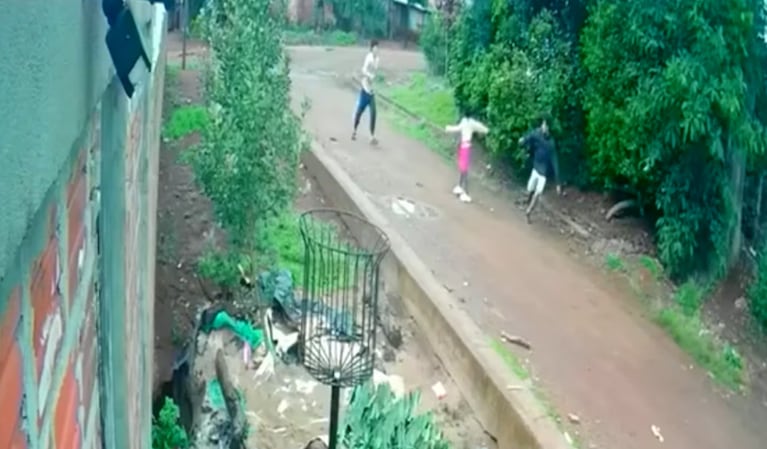 La nena logró gritar y su padre la salvó del ataque.