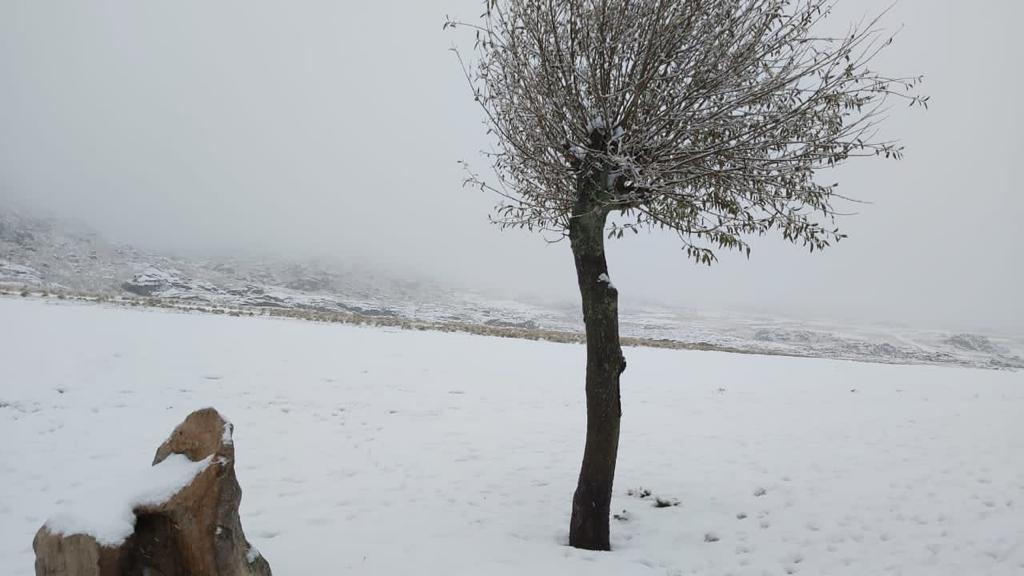 La nevada dejó postales hermosas en las Altas Cumbres.