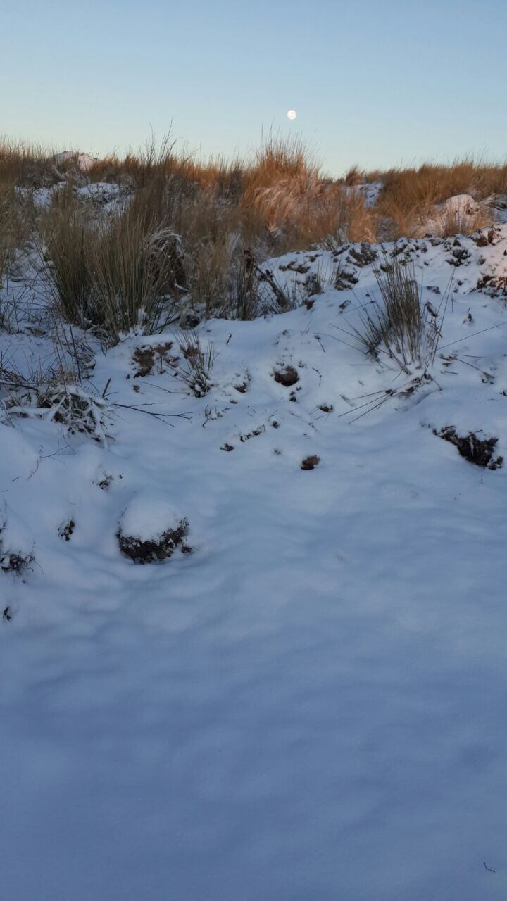 La nieve de hoy en el Camino a las Altas Cumbres. Foto: Sebastián Pfaffen. 