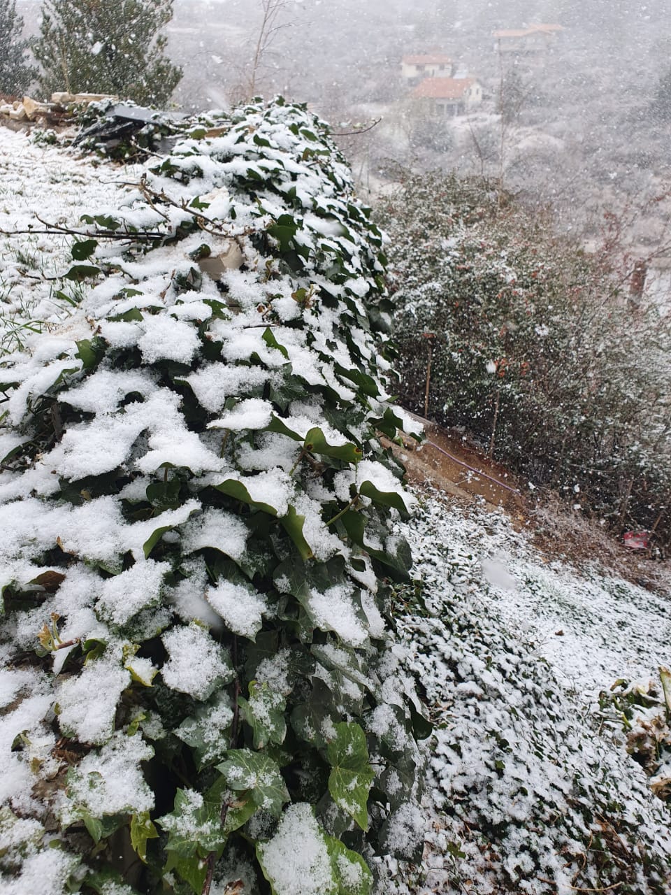 La nieve en La Cumbrecita.