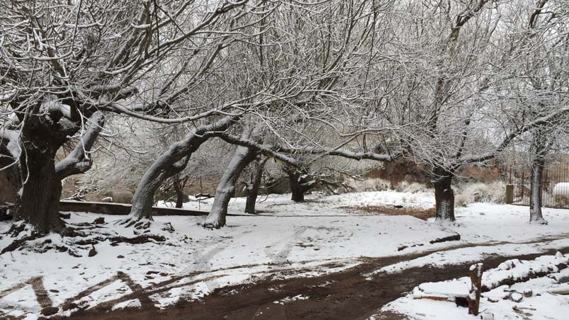 La nieve sorprendió a las alumnas solidarias. Fotos enviadas por las familias Buteler y Moyano.