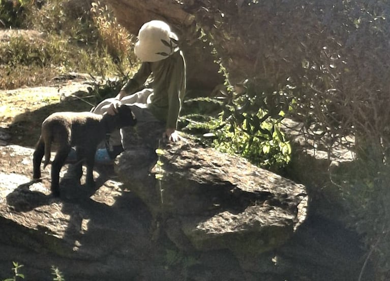 La oveja Bujía tenía 4 meses.
