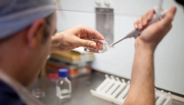 La pareja había trabajado durante años para cumplir el deseo de ser padres.