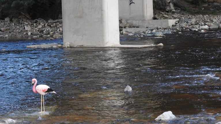 La parina grande sobre el río Yuspe.