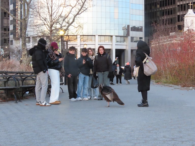 La pava Astoria, una celebridad entre los neoyorquinos.