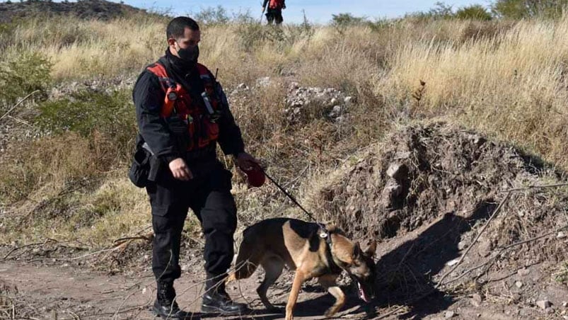 La perra forma parte del equipo contratado por el padre de la niña. (Foto: Télam)