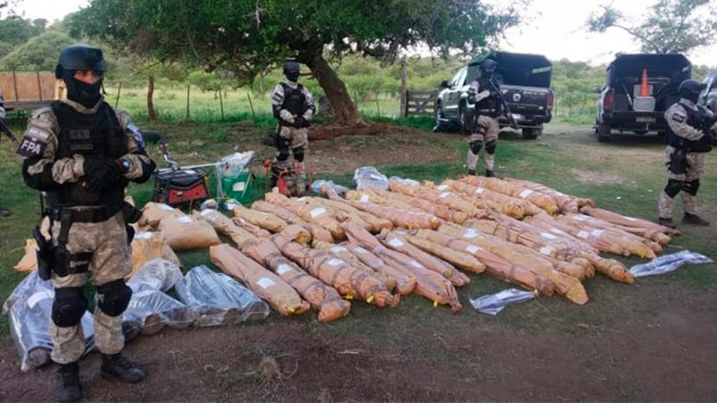 La plantación de marihuana fue descubierta en el norte de Córdoba.