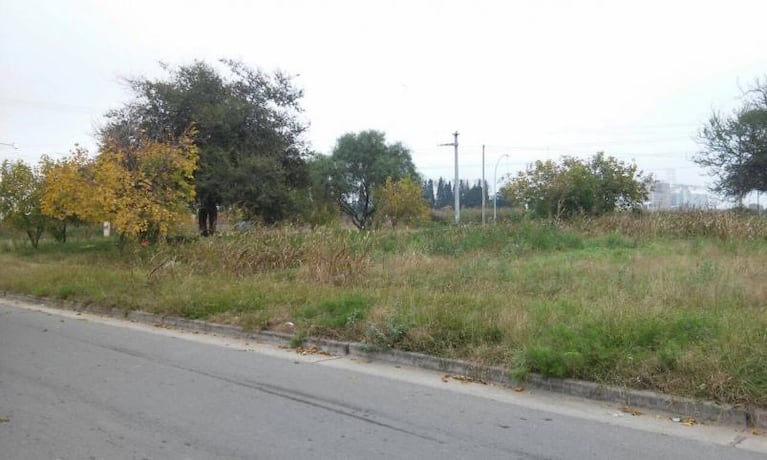 La plaza abandonada desde hace meses