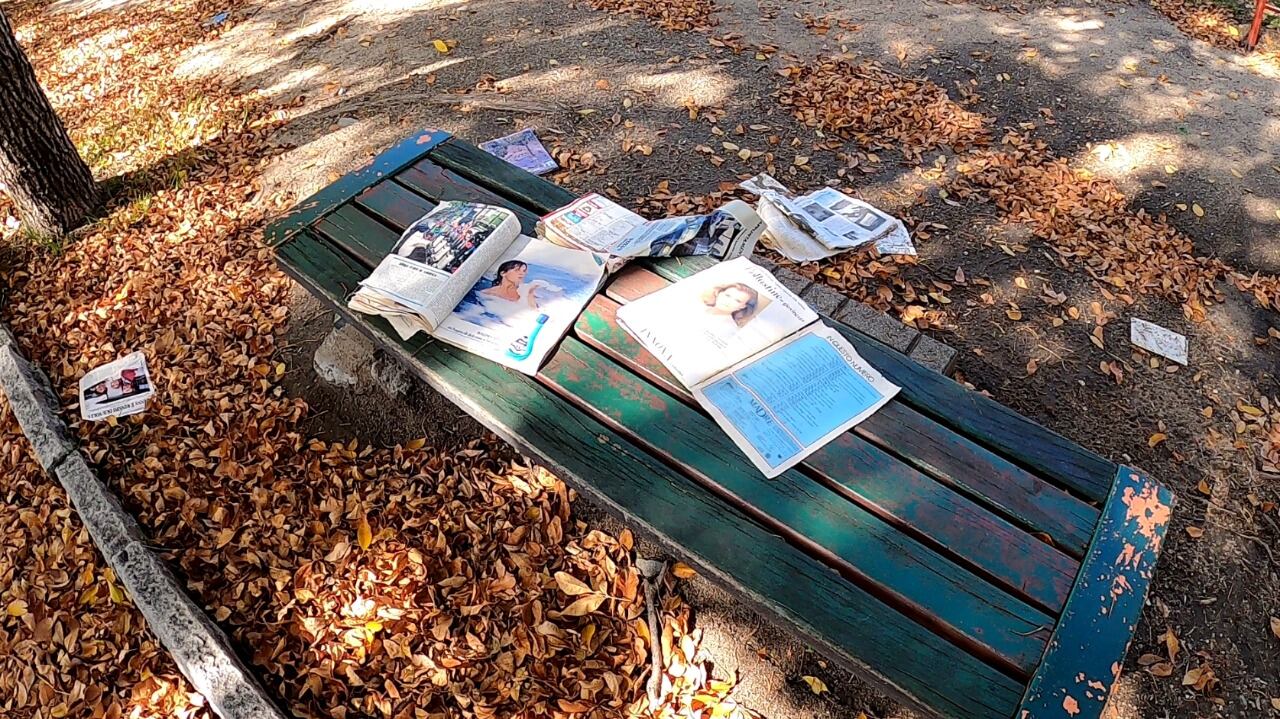 La plaza vacía, alfombrada de hojas amarillas merecía ser retratada en esa soledad que entregan las hamacas y los toboganes sin niños.