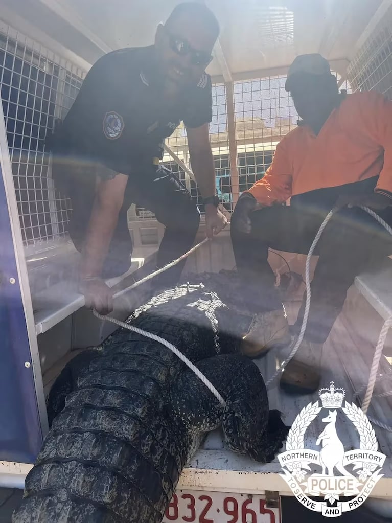 La Policía del Territorio del Norte con el cocodrilo cazado. 