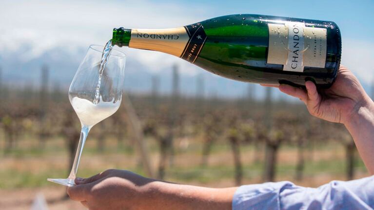 La prestigiosa bodega celebra sus 60 años de éxitos.