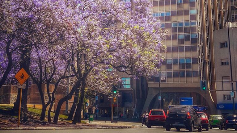 La primavera comenzará a sentirse en Córdoba.
