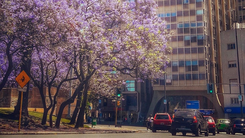 La primavera comienza a sentirse en Córdoba.