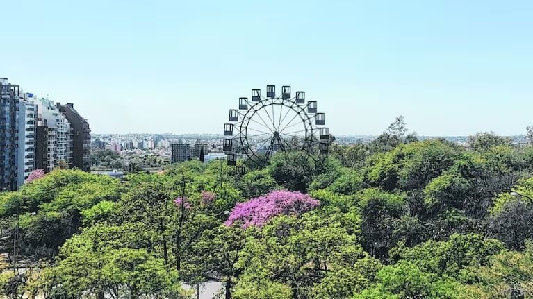 La primavera llega a Córdoba
