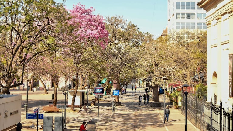 La primavera se hace sentir con fuerza en Córdoba.