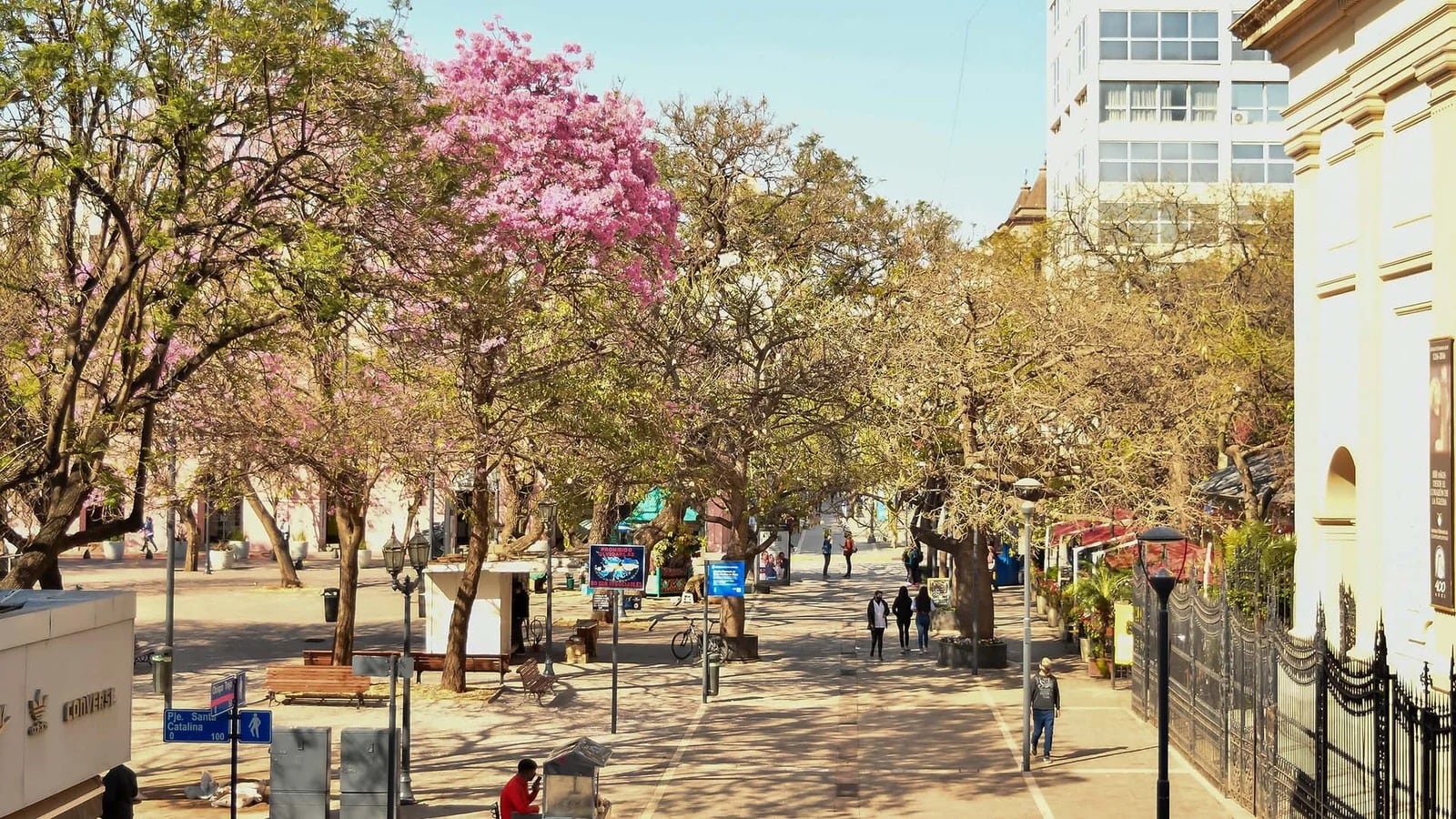 La primavera ya se respira en Córdoba.