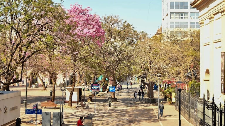 La primavera ya se respira en Córdoba.