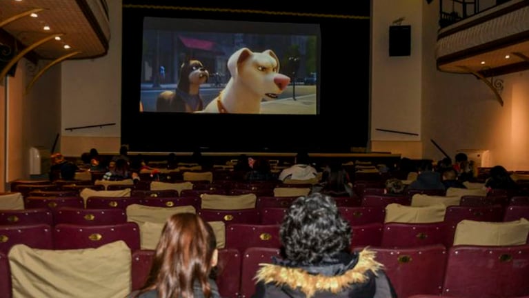 La primera función de cine para perros fue en Escobar, Buenos Aires