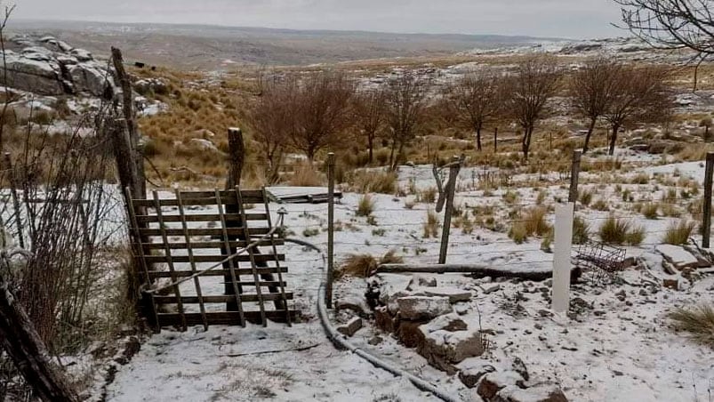 La primera nevada del invierno en Pampa de Achala.