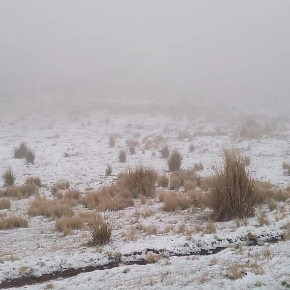 La primera nevada del invierno llegó a Córdoba.