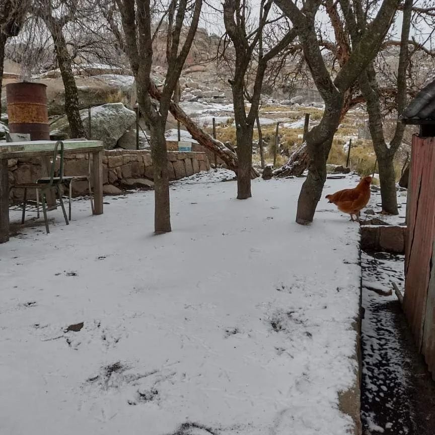 La primera nevada del invierno llegó a Córdoba.