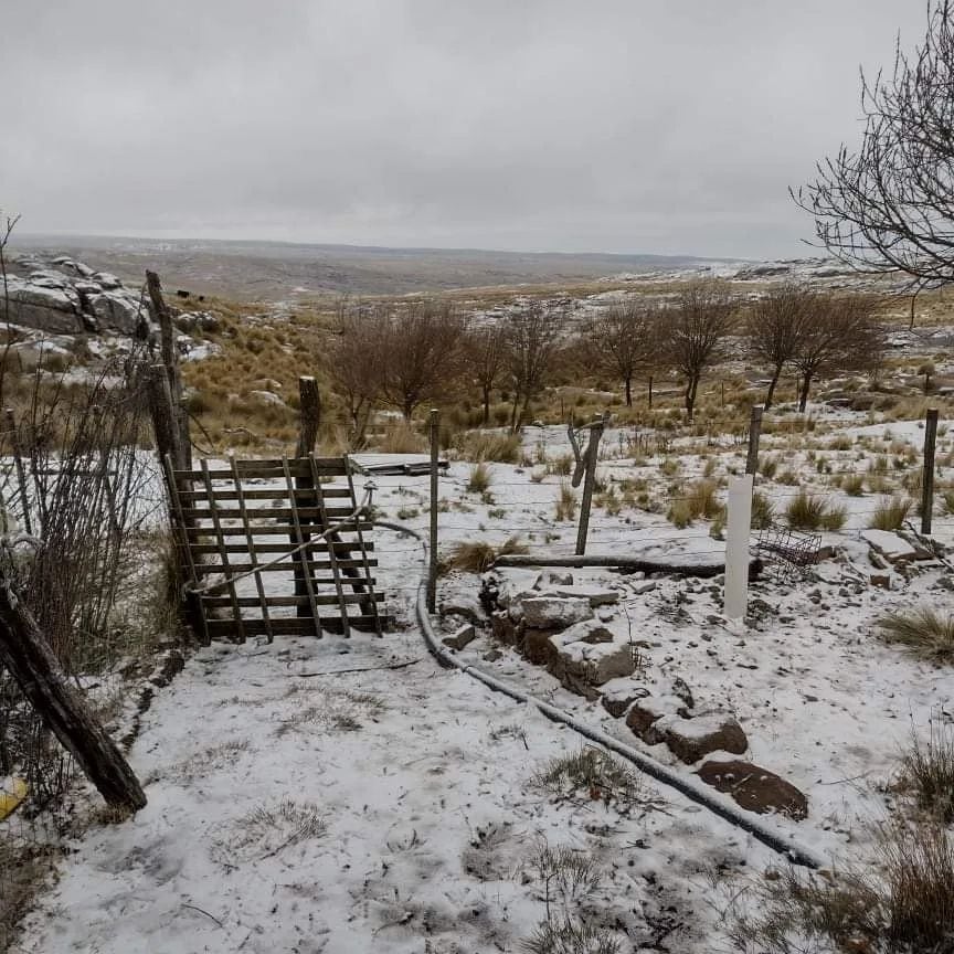 La primera nevada del invierno llegó a Córdoba.