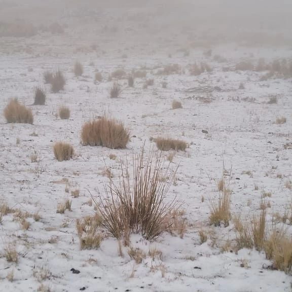 La primera nevada del invierno llegó a Córdoba. Foto: Martin López-Radio Argentina.